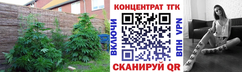 ОМГ ОМГ ссылки  Севастополь  Дистиллят ТГК Wax 