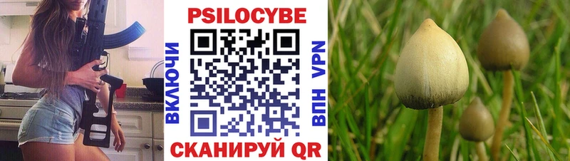 Псилоцибиновые грибы Cubensis  купить закладку  Севастополь 