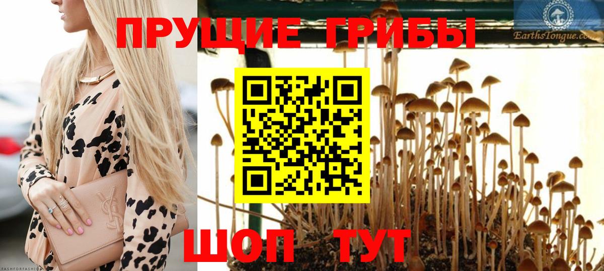 Севастополь  Галлюциногенные грибы мухоморы  Вход с VPN  Галлюциногенные грибы Cubensis 