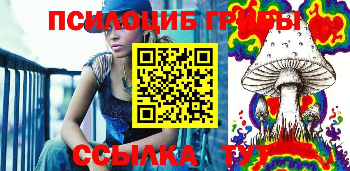 Галлюциногенные грибы Psilocybine cubensis Севастополь